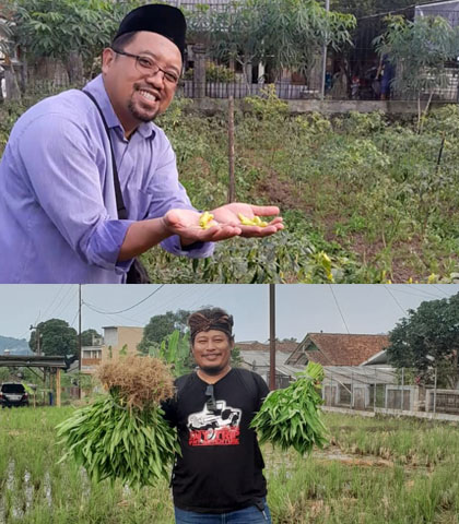 Ketahanan Pangan